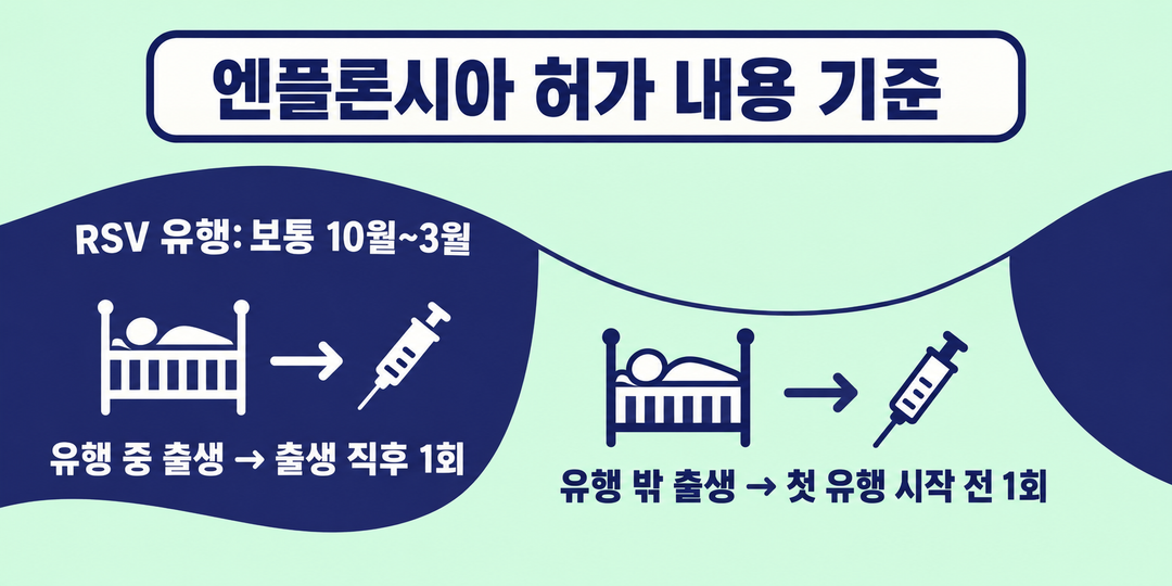 10월부터 3월까지의 RSV 유행 구간을 따라 출생 시기별 엔플론시아 첫 투여 시점을 비교한 생성 그림.