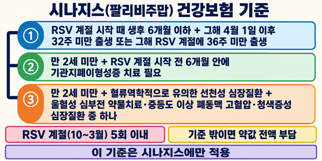 시나지스에만 적용되는 건강보험의 세 대상 조건과 RSV 계절당 5회 이내 인정 범위를 적은 생성 정보 그림.