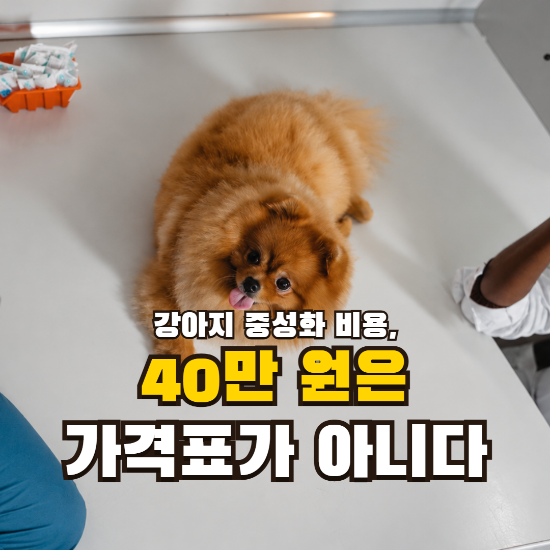 동물병원 진료대 위 강아지의 실제 사진을 어둡게 깔고 ‘강아지 중성화 비용, 40만 원은 가격표가 아니다’라는 문구를 크게 얹은 썸네일.
