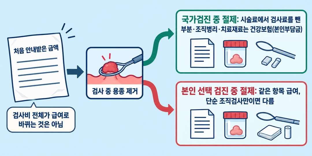 설명 그림. 국가검진 중 용종을 절제한 경우와 본인 선택 검진 중 절제한 경우를 나눠, 시술료에서 검사료를 뺀 부분·조직병리·치료재료의 건강보험 산정과 본인부담을 보여 준다. 단순 조직검사만 한 경우는 구별한다.
