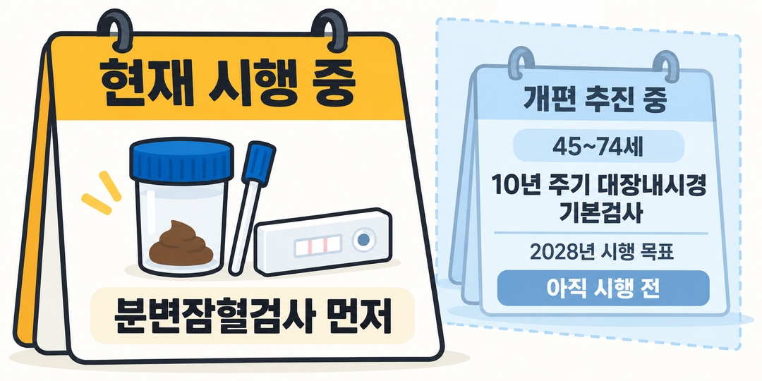 설명 그림. 현재는 분변잠혈검사가 먼저인 국가 대장암검진이 시행 중이고, 45~74세의 10년 주기 대장내시경 기본검사 개편은 2028년 시행을 목표로 추진 중이며 아직 시행 전임을 구별한다.