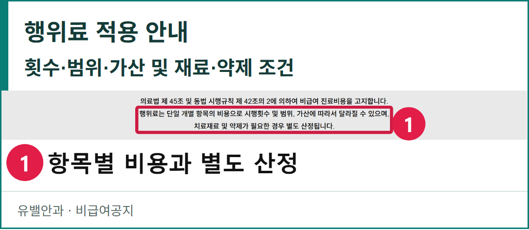 유밸안과 비급여공지의 실제 적용 안내 화면. 행위료는 단일 개별 항목 비용이며 시행횟수·범위·가산과 필요한 치료재료·약제에 관한 안내가 있다.