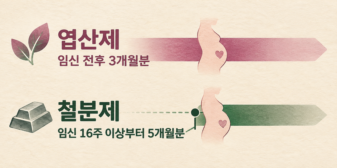 엽산제는 임신 전후 3개월분, 철분제는 임신 16주 이상부터 5개월분이라는 시기 차이를 두 개의 시간 띠로 비교한 생성 정보 그림.
