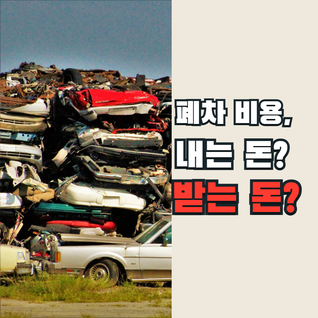 실제 폐차장에 쌓인 자동차 사진 위에 ‘폐차 비용, 내는 돈? 받는 돈?’을 크게 얹은 썸네일